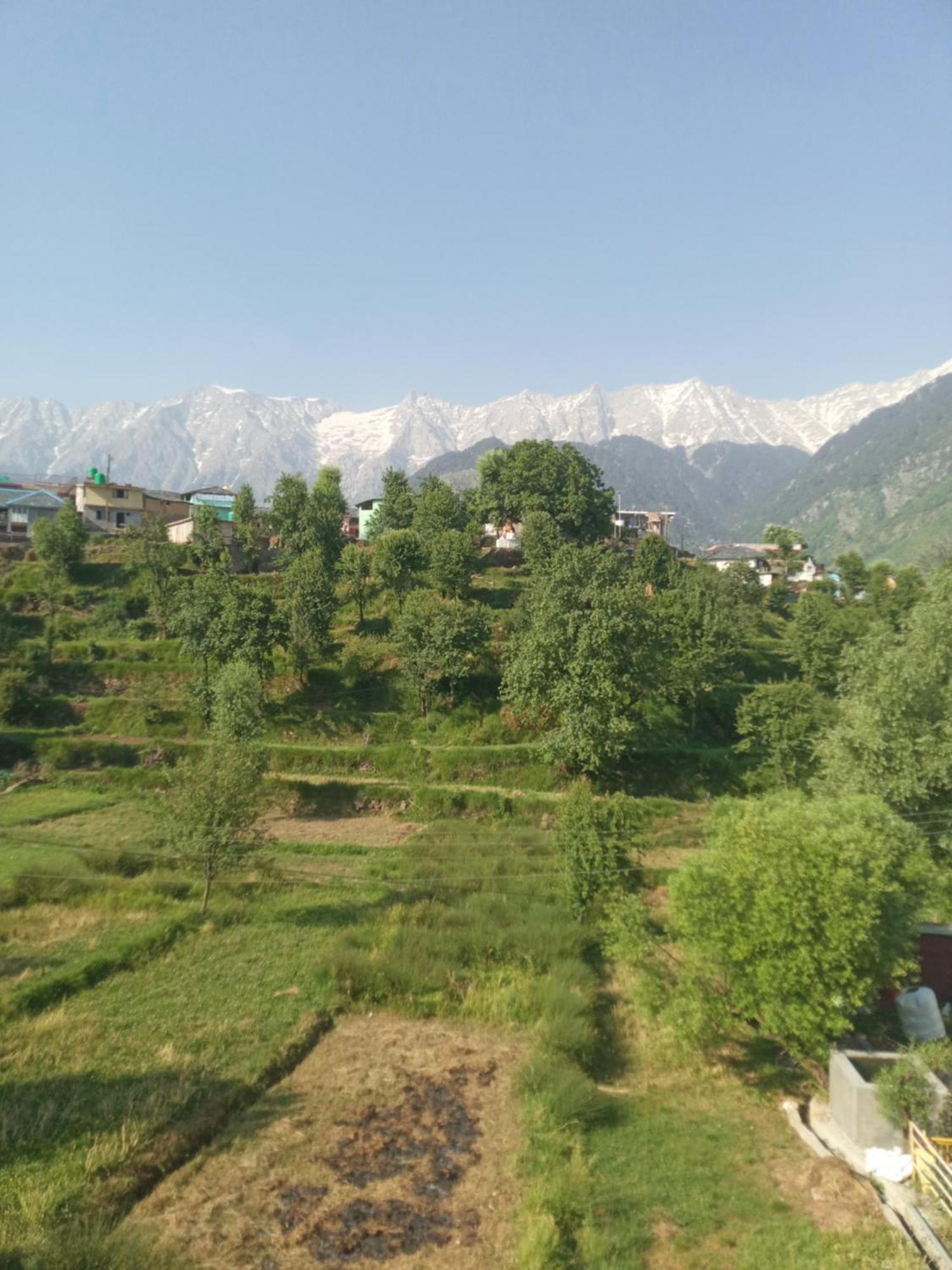 Nirmal Homestay Дармсала Номер фото