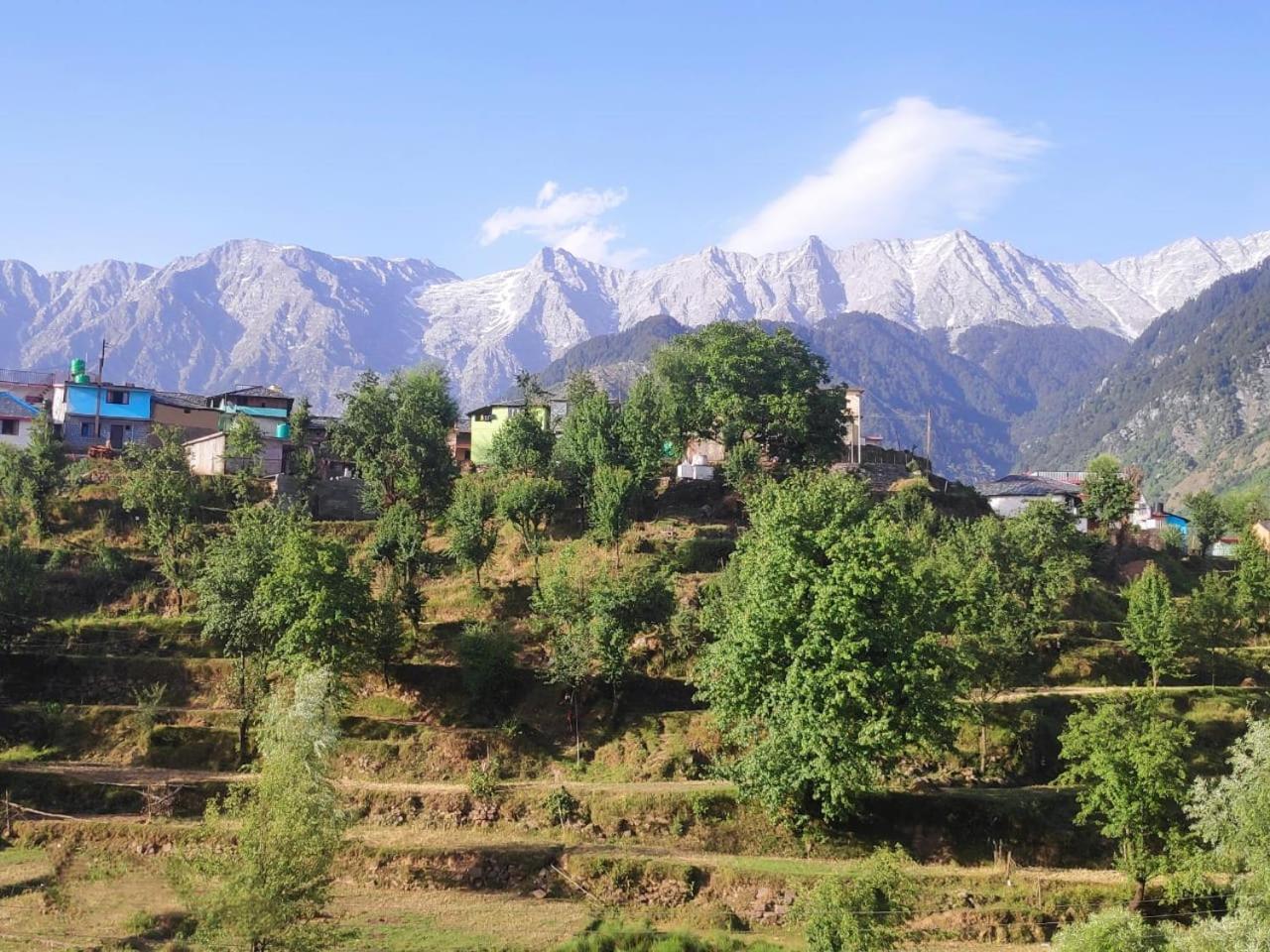 Nirmal Homestay Дармсала Экстерьер фото