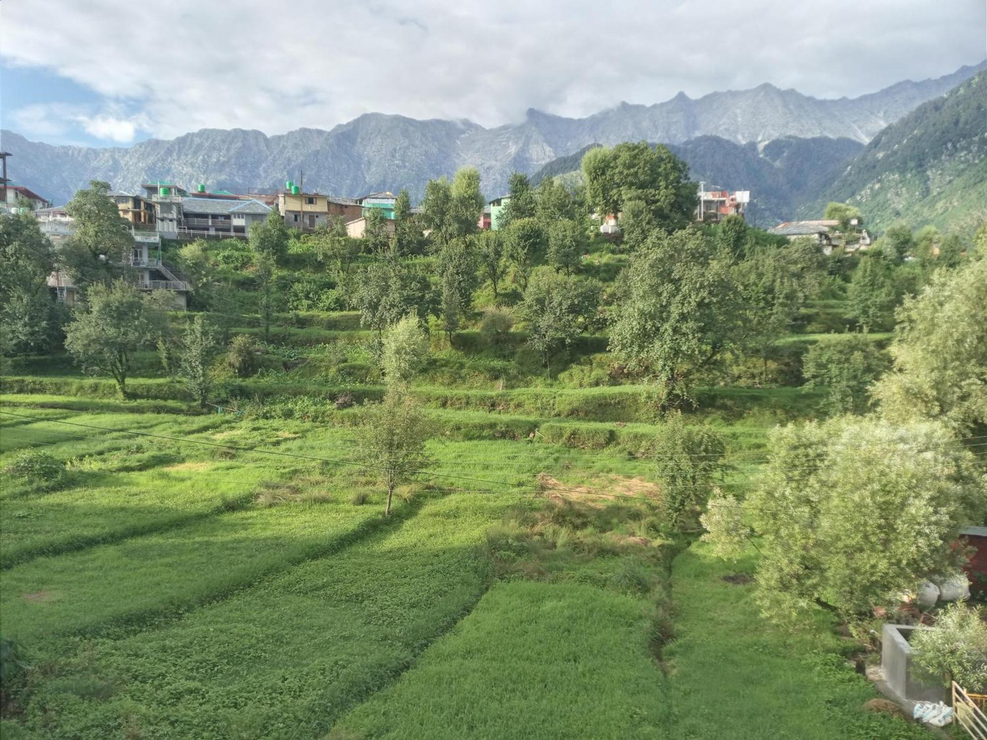 Nirmal Homestay Дармсала Экстерьер фото